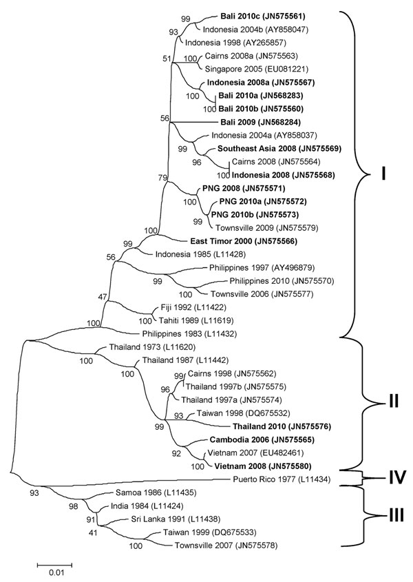 Phylogenetic tree showing the relationship of dengue viruses, serotype 3, imported into Queensland, Australia, 2002–2010, based on sequencing of the envelope gene. Viruses are designated according to reported origin and GenBank accession number, and imported cases are shown in boldface. Genotypes are indicated on the right. Scale bar indicates nucleotide substitutions per site.