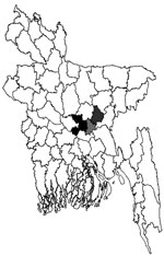Thumbnail of Three districts of Bangladesh from which samples were tested for Arctic/Arctic-like rabies virus and strains were found, 2010. Black, Dhaka District, strains BDR1, BDR3, and BDR6; light gray, Narayanganj District, strains BDR4, BDR5, and BDR7; dark gray, Narshingdi District, strain BDR2.