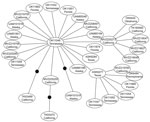 Thumbnail of Genetic network showing the relationship among all hepatitis E virus genotype 3 sequences obtained in this study from isolates from wild rats collected in the United States. Each line represents a single mutational event and closed circles represent extinct or unsampled sequences. Each oval represents a single isolate, and the label corresponds to the tissue number shown in the Technical Appendix and the general sampling locality.