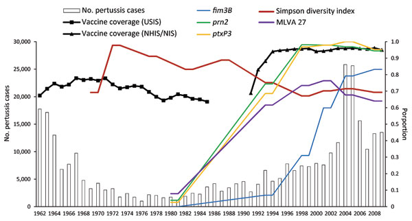 Comparison of number of pertussis notifications, proportion of vaccine coverage, and proportion of dominant multilocus sequence typing alleles and multilocus variable number tandem repeat analysis (MLVA) type 27 among a random selection of 661 isolates, United States, 1935–2009. Bars indicate case notifications; lines indicate 2-point moving average distributions of frequency for the time periods assigned in this study. Vaccine coverage data were collected for the United States Immunization Surv