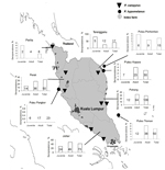 Thumbnail of Trapping sites for Pteropus hypomelanus and P. vampyrus bats and seroprevalence of Nipah virus in 8 sites, Peninsular Malaysia, January 2004–September 2006. Values in the small graphs indicate number of positive samples.