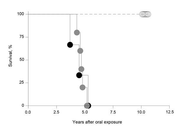 Percentage macaques surviving after oral inoculation brain material with or without (mock) bovine spongiform encephalopathy (BSE)–-inducing agent. Macaques exposed to 5 g (gray circles) or 16 g BSE (black circles) on 1 occasion and mock controls (open circles) are shown. The median incubation times for those given 16 g and 5 g BSE each was 4.7 years and 4.6 years, respectively. The difference was statistically not significant. 