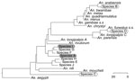 Thumbnail of Phylogenetic tree of sequence group consensuses with National Center of Biotechnology Information reference sequences for mosquitos caught in 2010 in Kisii District, Nyanza Highlands, western Kenya. Sequence groups of caught specimens arbitrarily named species A to J are ranked by abundance. Grey highlighting of text indicates study samples with sporozoites; dashed circles around text indicate study samples that match known African vectors. Scale bar represents nucleotide substituti