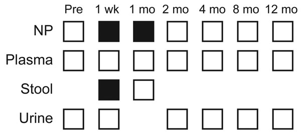 Samples tested for TSV (trichodysplasia spinulosa polyomavirus) during May–June 2009 from patient 4001, a 13-year-old heart transplant recipient at St. Louis Children’s Hospital, St. Louis, Missouri, USA. Samples tested at each time point are indicated by open squares. Black squares represent positive samples. NP, nasopharyngeal.