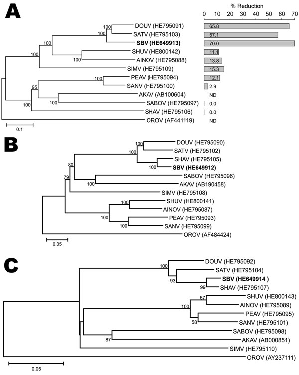 Maximum-likelihood trees showing phylogenetic relationships of Simbu serogroup viruses for the medium segment (A), large segment (B), and N coding (C) regions. The bar plot in panel A indicates the percentage of titer reduction of each virus by anti–Schmallenberg virus serum. GenBank accession numbers are shown. Numbers at nodes indicate percentage of 1,000 bootstrap replicates (values &lt;50 are not shown). Scale bars indicate nucleotide substitutions per site. ND, not determined.