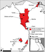 Thumbnail of Potential influenza reassortment areas in Egypt. Districts in red are predicted to have an above average number of cases of influenza subtype H5N1 virus in poultry and an above average human population density, which is a proxy for subtype H3N2 virus infections.