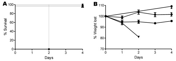 A) Survival and B) percentage of weight lost in mice over 4 days after infection with Clostridium difficile. Male C57/B6 mice were infected with C. difficile spores for strains M7404 (triangles), JGS6133 (078) (diamonds), or A135 (circles); phosphate-buffered saline (squares) was used as control. Error bars in panel B indicate SEM.