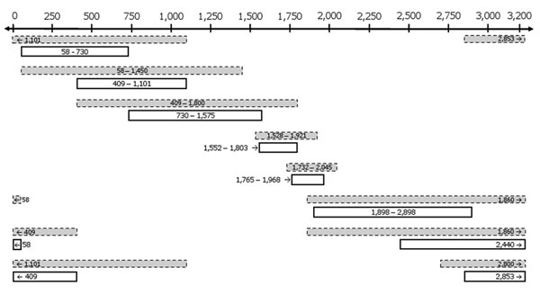 Amplification of the hepatitis B virus HBV genome by using overlapping subgenomic fragments. Shown are 8 overlapping subgenomic fragments amplified by nested PCR, These fragments were used to generate the complete HBV sequence isolated from liver tissue of Chacma baboon 9732, South Africa. Dashed gray boxes indicate first-round PCRs, and white boxes indicate second-round PCRs. Values along the 2-headed arrow at the top are in basepairs from the EcoRI site of the circular genome of HBV. Small arr