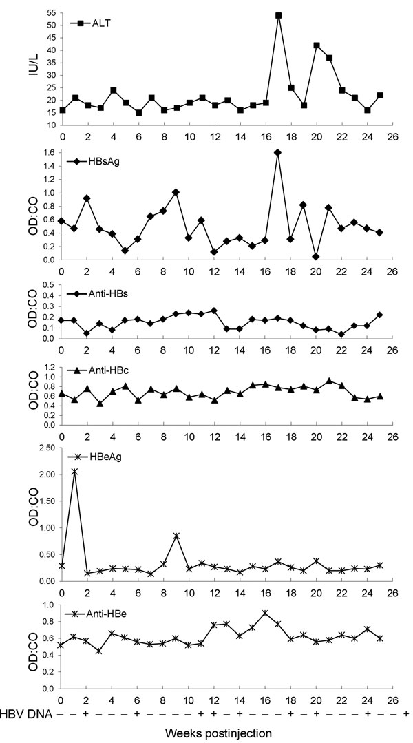 Levels of alanine aminotransferase (ALT) and hepatitis B virus (HBV) serologic markers and detection of HBV DNA in baboon 2, South Africa. Serum obtained from baboon 2 (which was injected with serum from baboon 9732), and ALT and HBV serologic marker levels were measured at weekly intervals after injection. Serum for week 0 levels was obtained just before injection. OD:CO indicates optical density:cutoff value ratios. An OD:CO &gt;1 indicates a positive result. HBV DNA was detected by nested PCR
