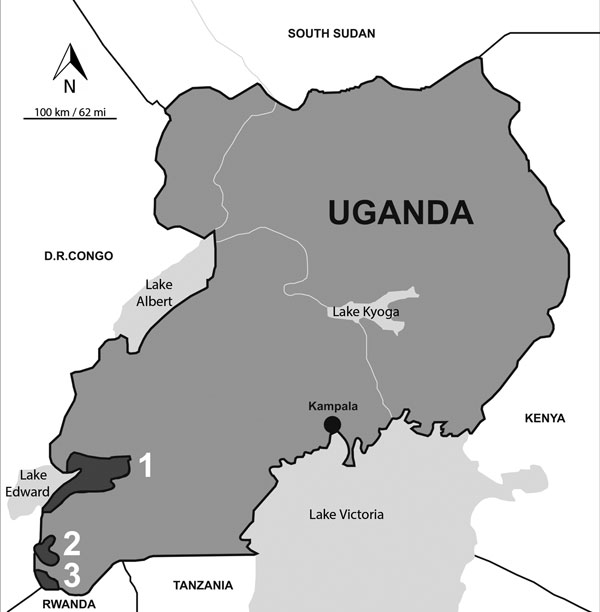 Map of Uganda showing 3 areas where a serosurvery for human and animal pathogens was conducted among dogs. 1, Queen Elizabeth National Park; 2, Bwindi Impenetrable National Park; 3, Mgahinga Gorilla National Park.