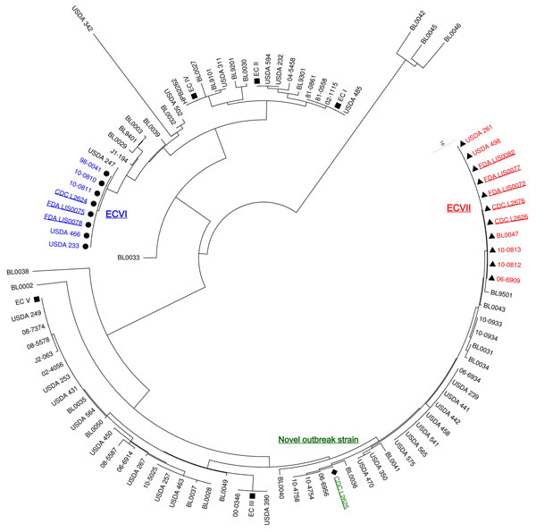 Unrooted neighbor-joining tree computed in MEGA 5.0 (10) for multi-virulence locus sequence typing (MVLST) data based on sequencing of 6 virulence genes, prfA, inlB, inlC, dal, clpP, and lisR (3) obtained for the 93 Listeria monocytogenes isolates compared in this study. Nine isolates from cantaloupes were from the Centers for Disease Control and Prevention (CDC) (GenBank accession nos. JQ407055–JQ407078) and the Food and Drug Administration (FDA) (JX141237–JX141275), 23 isolates from Knabel et 