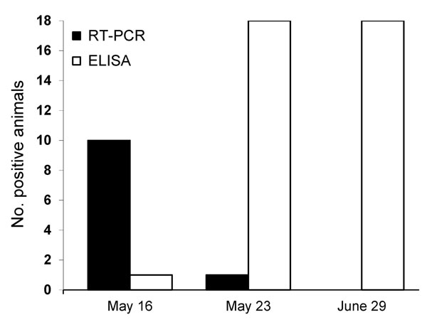 Number of cows positive for Schmallenberg virus according to reverse transcription PCR (RT-PCR) and ELISA, France, 2012.