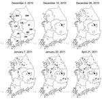 Thumbnail of Progress of foot-and-mouth disease transmission throughout South Korea during 2010–2011 outbreak. Circles indicate cases in swine at index farms; black dots, cases in cattle. A timeline of case detection is provided in online Technical Appendix Figure 1 (wwwnc.cdc.gov/EID/article/19/4/1-1320-Techapp1.pdf). IC, Incheon; GG, Gyeonggi; GW, Gangwon; CN, Chungnam; CB, Chungbuk; GB, Gyeongbuk; GN, Gyeongnam; JN, Jeonnam; JB, Jeonbuk; DG, Daegu.