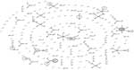 Thumbnail of eBURST diagram (http://eburst.mlst.net) of all multilocus sequence typing (MLST) sequence types (STs) for Streptococcus equi subspecies zooepidemicus and S. equi subsp. equi recorded in the PubMLST database (http://pubmlst.org/szooepidemicus) (February 7, 2013). Single-locus variants (SLVs) are connected by a solid line. Black circles indicate strains isolated in this study from human cases and 1 horse (ST-10: Hum1, horse isolate 648/11, and Hum2; ST-209: Hum3 isolate). Gray circles