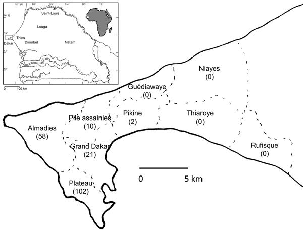 Geographic distribution of patients with confirmed dengue in the region of Dakar, Senegal. Number of patients is shown in parentheses. Inset shows location of Dakar in Senegal and in Africa.