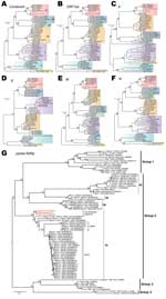 Thumbnail of Phylogenetic analyses of coronaviruses. A–F) Maximum-likelihood phylogenies of combined and each individual open reading frame (ORF), including ORF 1ab, S, E, M, and N. Previously defined viral lineages (group 1, 2a, 2b, 2c, 2d, 3, and 4) are highlighted by color blocks and described in (A). G) Phylogenetic analyses on the partial RNA-dependent RNA polymerase sequence region (396 bp) of coronaviruses (CoVs). Partial gene sequences from other CoVs that are closely related to the nove