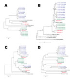 Thumbnail of Phylogenetic trees showing genetic relationships between sequences of vaccine-derived poliovirus (VDPV) isolates. The trees are based on nucleotide sequence alignments of various subgenomic regions. Multiple sequence alignments were performed with CLC Main Workbench 5.7.2 software (CLC bio, Aarhus, Denmark). Phylograms were constructed with MEGA 4 (http://megasoftware.net/mega4/mega.html), using the Jukes-Cantor algorithm for genetic distance determination and the neighbor-joining m