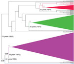 Thumbnail of Phylogenetic tree generated by using Bayesian analysis for a 1,274-nt portion of the gene-coding sequences of rabies virus isolates collected in Peru during 2002–2007. Red, lineage II (found in Peru, Brazil, and Uruguay); green, lineage I (found in Peru, Ecuador, and Colombia); purple, lineage IV (found in Peru and Colombia); blue, lineage III (found in Peru). Posterior probabilities and lineage ages are shown for all major nodes.