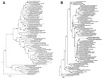 Thumbnail of Phylogenetic trees A) of hemagglutinin (HA) and B) neuraminidase (NA) genes of highly pathogenic avian influenza A (H7N3) virus isolated from a poultry worker with conjunctivitis in Jalisco State, Mexico, July 2012, and other influenza viruses. Reassortant vaccine candidates are shown with a V, and hemagglutinin inhibition (HI) reference viruses used in HI tests are shown with an R in the HA tree. Arrows indicate strain names with V and R. Highly pathogenic avian influenza A(H7N3) v