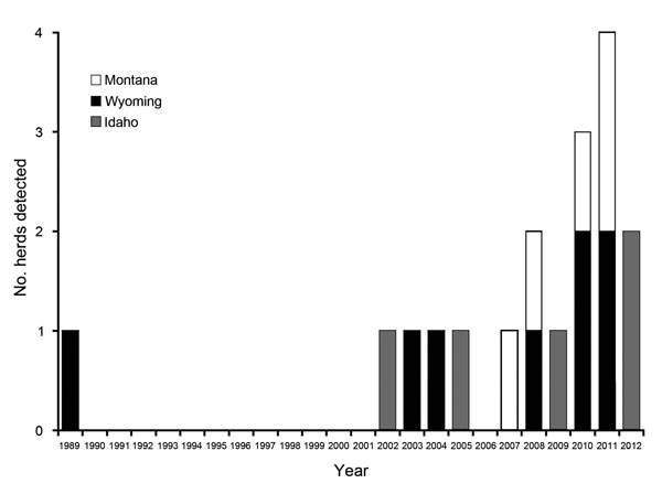 Number of Brucella abortus–positive domestic cattle and ranched bison herds (combined) detected each year, Greater Yellowstone Area, USA, 1989–2012.