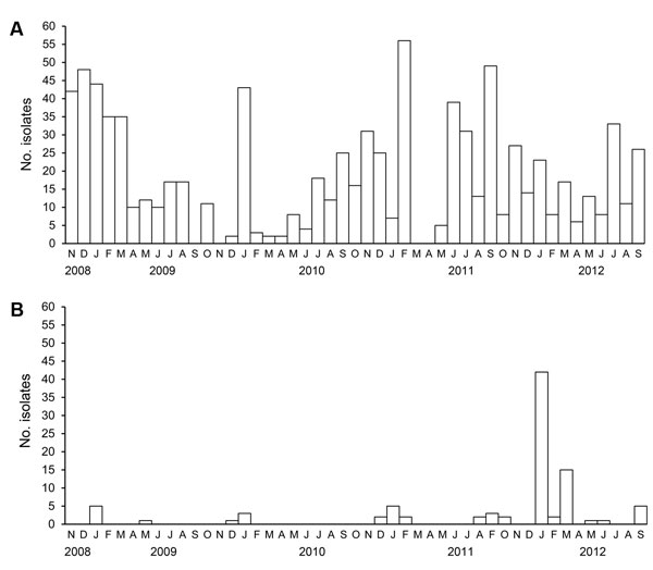 Influenza virus surveillance in Bangladesh, November 2008–September 2012, showing the total number of avian influenza viruses isolated per month. A) Low pathogenicity subtype H9N2 viruses; B) highly pathogenic subtype H5N1 viruses. 