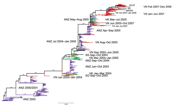 Maximum-likelihood phylogenetic tree (hemagglutinin segment) of the 787 sequences that comprise the regional influenza (H3N2) dataset. Tree is rooted on A/Canterbury/179/1999, and bootstrap values are shown on key nodes. Branches are colored by location: red, Vietnam; purple, Australia or New Zealand; green, Hong Kong; blue, Taiwan; orange, Singapore. Labels are shown directly to the left or right of the clades they are describing, with 2 exceptions: the label “VN Jun 2003–Jan 2004” refers to th