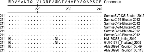 Amino acids at positions 211 and 226 of the chikungunya virus (CHIKV) envelope protein 1 (E1) and alignment of aa 211–240 of Bhutan 2012 CHIKV isolates with Réunion Island 2005, Indian 2010, and Thailand 2009 CHIKV isolates. Gray shading indicates residues 211 and 226 of the E1 protein.