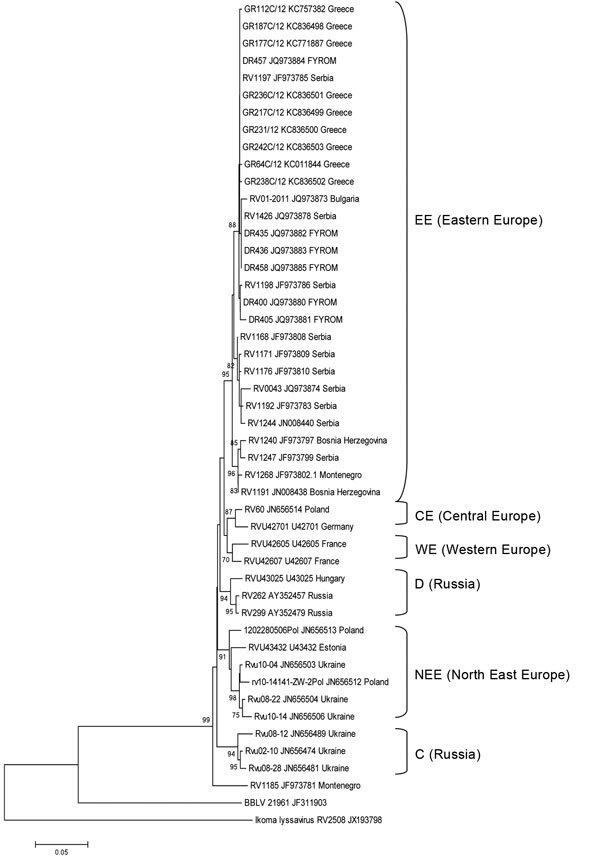 Neighbor-joining phylogenetic tree comparing 9 isolates (7 red foxes, 2 dogs) from Greece with isolates from Former Yugoslav Republic of Macedonia, Bulgaria, and Serbia. All 9 samples were isolated in Greece during October 19, 2012–December 28, 2012. Representative isolates from central, western, and northeastern Europe and from Russia, extracted from GenBank, also were included in the phylogenetic tree. The phylogenetic analysis was based on analysis of the first 567 nt of the N gene by using t