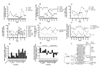 Thumbnail of Macro-analysis of foot-and-mouth disease (FMD) outbreaks in countries in eastern and Southeast Asia, 1999–2013. A) Number of countries in eastern Asia (South Korea, Japan, China, Mongolia, Russia, North Korea, Hong Kong, Taiwan) with FMD outbreaks on the basis of serotype. Values indicate sum of duplicated country counts of outbreaks caused by multiple serotypes. B) Number of countries in Southeast Asia (Vietnam, Cambodia, Myanmar, Thailand, Lao People’s Democratic Republic [Laos PD