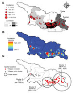Thumbnail of A) Empirical Bayes Smoothing cumulative incidence (per 10,000 population) of human cutaneous anthrax at the community level, Georgia, 2010–2012. Green star indicates the location of the capital, Tbilisi; gray star indicates the fourth most populous city, Rustavi. The total number of livestock cases during the study period is shown by region. B) Risk surface representing the estimated smoothed cumulative incidence per km2. C) Spatial clustering of human cutaneous anthrax cases as det