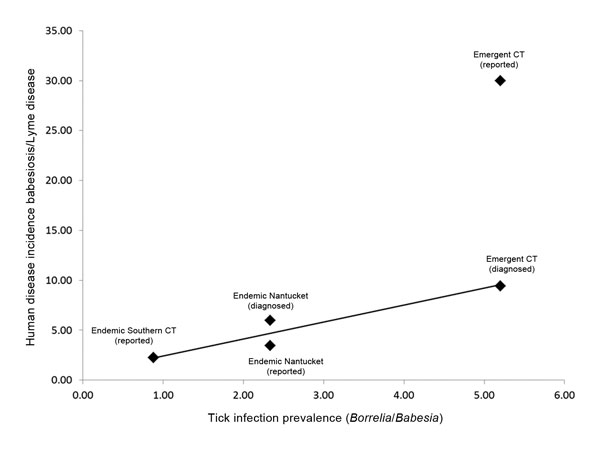 Linear regression model of the human ratio (disease incidence rate ratio) and the tick ratio (tick infection prevalence ratio). The regression model includes state-reported case data from disease-endemic sites and case diagnoses from both medical practices. The human ratio derived from state-reported case data in the emerging area (northeastern Connecticut) is also displayed.