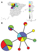 Thumbnail of A) Geographic distribution of 98 Francisella tularensis subsp. holarctica isolates from Spain. Color codes represent geographic origin, and black circles represent number of isolates recovered per province. B) Minimum-spanning tree based on multilocus variable number tandem repeat (MLVA) analysis of genotypes, showing genetic relationships among 98 F. tularensis subsp. holarctica isolates from Spain. Each circle represents a unique MLVA type and size of each node is proportional to 