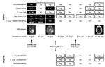 Thumbnail of Diagnosis, treatment, and prophylaxis monitoring of Trypanosoma cruzi infection in a pregnant woman and her daughter. The mother, who had chagasic encephalitis and AIDS, was treated with benznidazole (Bz). Po, positive; Ng, negative;  Nd, not determined; results of ELISA were considered positive when R was &gt;1.2);  IHA, indirect hemagglutination assay (IHA was considered positive when titers were &gt;16); kDNA-PCR, kinetoplast DNA-PCR; qPCR, quantitative PCR (dynamic range of dete