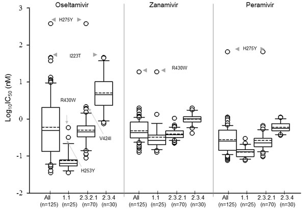 Distribution of log-transformed 50% inhibitory concentration (IC50) values for oseltamivir, zanamivir, and peramivir: Box-and-whisker plot analysis of all tested highly pathogenic avian influenza A(H5N1) viruses (n = 125) and individual clade for each virus. The boxes represent the 25th (quartile 1) to 75th (quartile 3) percentiles; horizontal and dash lines within the box represent median and mean values, respectively; n, number of viruses tested.