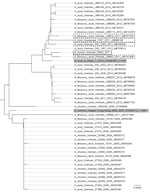 Thumbnail of Phylogentic analysis of avian influenza A(H5N1) virus clade 2.3.2.1 hemagglutinin DNA sequences from Vietnam compared with other isolates. Solid black box indicates isolate from the subclinical human case investigated in this study, A/CM32/2011; dashed boxes indicate sequences from Vietnam in 2011; gray shading indicates World Health Organization vaccine candidates A/common magpie/Hong Kong/5052/2007 and A/Hubei/1/2010 for clade 2.3.2.1. The sequences were downloaded from the Influe