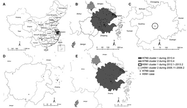 Geographic and temporal distribution of human cases of infection with avian influenza subtypes H7N9 (circles) and H5N1 (triangles), China. A) Distribution and space-time clusters of human influenza (H7N9) and influenza (H5N1) cases, calculated by using Kulldorff’s scan statistics in SaTScan version 9.1.1 (6). B) Spatial overlap between influenza (H7N9) and influenza (H5N1) case clusters in an area bordering the provinces of Anhui and Zhejiang. C) Primary cluster of influenza (H5N1) cases in Guiz