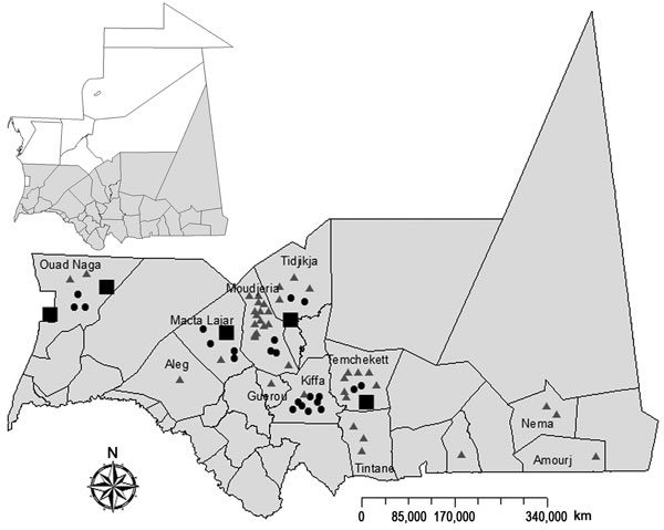 Geographic distribution of confirmed and probable cases of Rift Valley fever among humans and animals, southern Mauritania (gray shading), 2012. Triangles, confirmed human cases; dots, probable human cases; squares, confirmed animal cases.