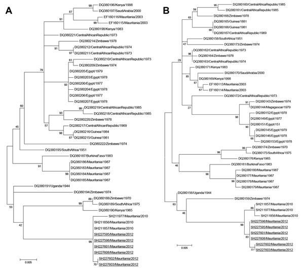 Phylogenetic trees for the medium (M) segments (680 nt) (A) and small (S) segments (531 nt) (B) of 6 Rift Valley fever virus isolates from southern Mauritania, 2012 (underlined), showing relationships among strains isolated from different localities and countries. The strains from 2012 grouped with strains isolated in northern Mauritania in 2010, which suggests re-emergence from an enzootic focus. GenBank accession numbers are KF648851–KF648856 for the M segments and KF648857–KF648862 for the S 