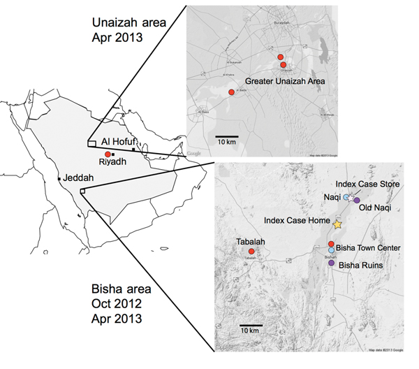 Bat sampling sites and locations of home and workplace of index case-patient with Middle East respiratory syndrome, Bisha, Saudi Arabia.