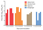 Thumbnail of Virus shedding into water trough. A 500-μL sample of water was collected daily for 6 days, and virus was titrated in chicken eggs. The lower limit of detection was 0.75 50% egg infectious dose/mL.