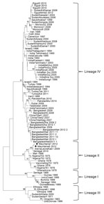 Thumbnail of Phylogenetic tree based on the nucleoprotein gene of peste des petits ruminants viruses identified in Mauritania (black diamonds) and selected comparison sequences from GenBank. The neighbor-joining method was used for phylogenetic analysis; evolutionary distances were computed by using the Tamura 3-parameter method and a gamma distribution parameter with a value of 4 (9). CAR, Central African Republic; Nig, Nigeria; UAE, United Arab Emirates. Scale bar indicates nucleotide substitu