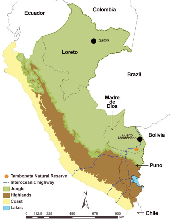 Regions of Peru, indicating areas of previous hantavirus study (Loreto [2]) and the study of hantaviruses described in this article (Madre de Dios and Puno). Capital cities of the Loreto and Madre de Dios Regions are indicated by black dots.