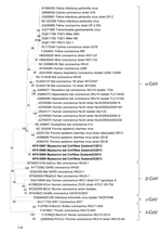 Thumbnail of Phylogenetic tree showing genetic relatedness of RNA-dependent RNA polymerase amino acid sequences for Mystacina sp. bat coronavirus (CoV)/New Zealand/2013 (shown in boldface) with those of known coronaviruses. Evolutionary history was inferred for 183 informative amino acid sites by using the maximum-likelihood method based on the Whilan and Goldman model with gamma distribution in MEGA 5.05 software (www.megasoftware.net). Bootstrap values are calculated from 1,000 trees (only boo