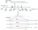 Thumbnail of Variations in protactin (prn) gene of prn-negative Bordetella pertussis isolates, Australia, 2008–2012, Ninety-six B. pertussis isolates were identified as prn negative. Eighty of these isolates had 1 of 4 mechanisms of prn disruption: IS481 (in forward and reverse directions) and IS1002, which were inserted at the ACTAGG motif within prn, or an extended homopolymeric tract of G residues (n = 1). Lower case letters indicate residues that are conserved in all IS disruptions, and red 