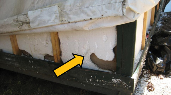 Damage from rodents tunneling in the foam insulation of a signature tent cabin, Yosemite National Park, summer 2012.