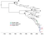 Thumbnail of Dated phylogeny inferred by using 97 enterovirus 71 (EV-A71) 1D gene sequences encoding the VP1 capsid proteins (1DVP1). The dataset included the 4 sequences determined in this study; 37 sequences from EV-A71 C4 strains detected in Austria, China, Korea, France, Germany, Japan, and Taiwan during 1998–2011; and 57 sequences from prototype and clinical strains representative of the genogroups and subgenogroups A, B1–B5, C1–C5. The tree topology shows the relationships between the stra