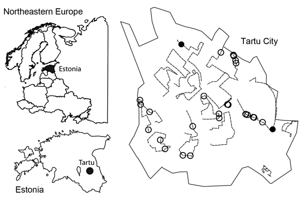 Location of Tartu in northeastern Europe, Estonia, and red fox feces sampling area in Tartu. The Tartu City boundary is indicated by a solid black line, survey transects are indicated by dashed lines, and fox fecal samples (n = 28) are indicated by circles. Filled circles (n = 2) indicate samples positive for Echinococcus multilocularis tapeworms.