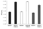 Thumbnail of Infectious phage in the supernatants of Shiga toxin 1a gene (stx1a)–encoding Shigella flexneri are induced with mitomycin C (mito C) treatment. Supernatants were collected from exponential cultures of BS937, BS938, and BS974 grown with or without 0.5 μg/mL mito C for 3 h. The number of infectious phage particles was determined by a soft agar overlay method that used Escherichia coli MG1655 as the recipient. Plaque forming units (PFUs) of phage lysate were counted after 24 h incubati