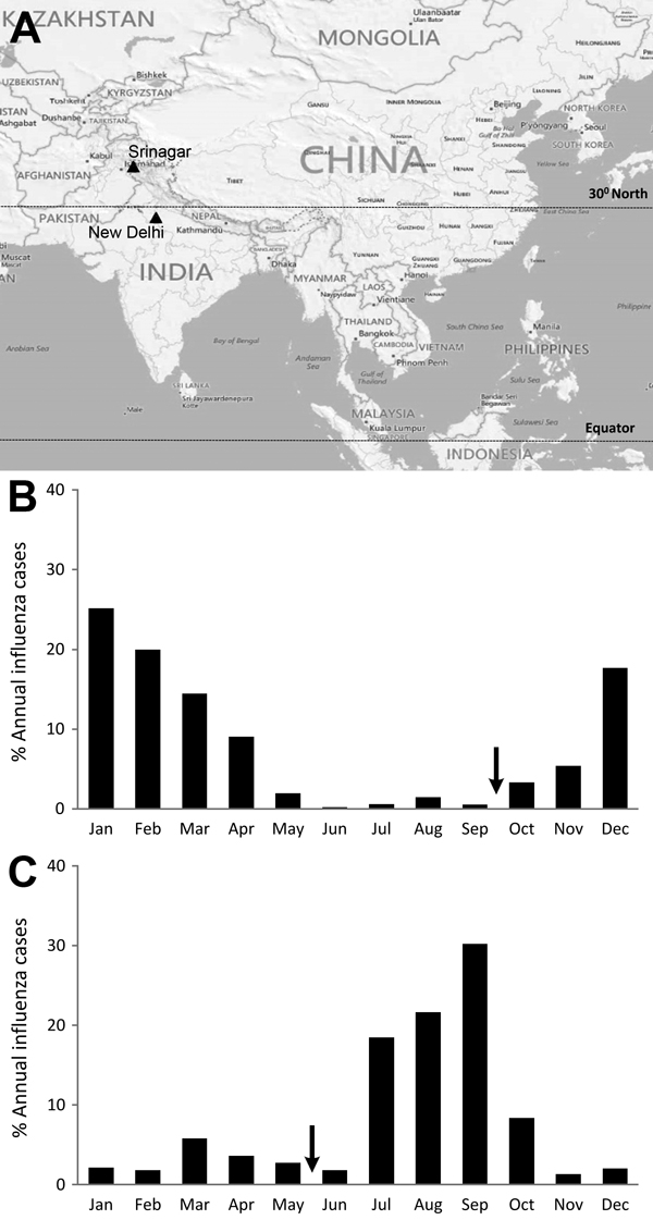 Comparison of latitudes of Srinagar and New Delhi, India, and distribution of influenza virus infections, 2011–2012. A) Locations of Srinagar and New Delhi (black triangles), with vertical lines indicating 30°N latitude and equator. B) Monthly distribution of cases of influenza virus infection in Srinagar (34.0°N latitude). C) Monthly distribution of cases of influenza virus infection in New Delhi (28.7°N latitude). Arrows indicate proposed vaccination timing; latitude of each city is shown. Map