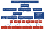 Thumbnail of Patient characteristics and underlying resistance mechanisms of patients with invasive and noninvasive Aspergillus disease. *Otomycosis, dermatomycosis, or onychomycosis; 1 patient had a resistant isolate and otomycosis (patient 9 in the online Technical Appendix Table, http://wwwnc.cdc.gov/EID/article/21/6/14-0717-Techapp1.pdf). †One patient had chronic pulmonary aspergillosis and ABPA. ‡Not classified according to European Organization for the Research and Treatment of Cancer/Myco